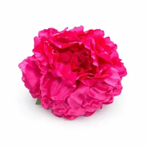Flor Fucsia