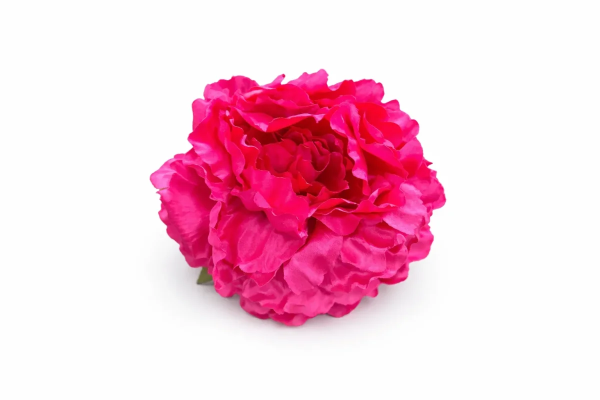 Flor Fucsia - Imagen 2