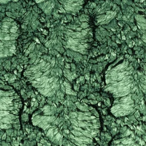 Tejido Pelo Verde Glactic