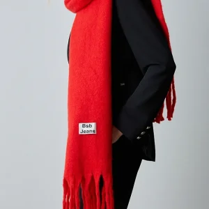 Pashmina Lisa