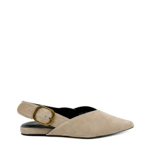 Zapatos Planos de Punta Fina con Talón Descubierto