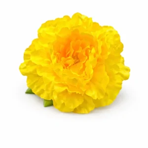 Flor Amarilla