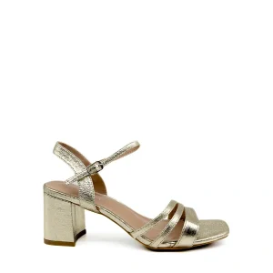 Sandalias  Elegancia Versátil en Negro y Dorado Metálico