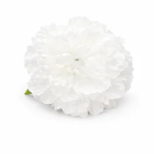 Flor blanca