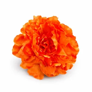 Flor Naranja