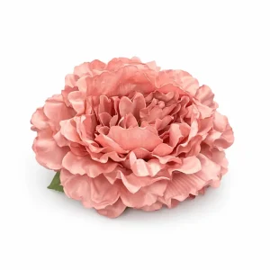Flor Rosita