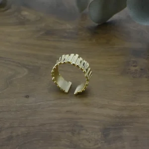 Anillo Acero Corona