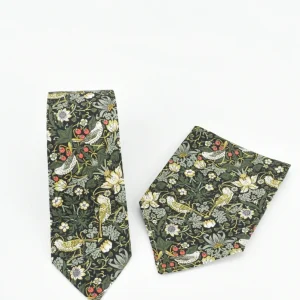 Corbata Aves