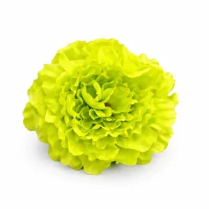 Flor Lima