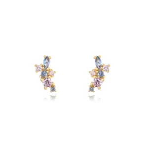 Pendientes Citconitas