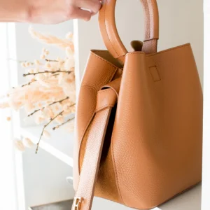 Bolso Bombonera Sophia Camel
